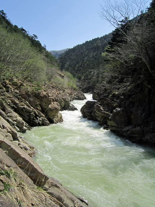 春増水の幌満峡.jpg
