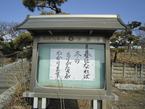 智教寺説教板.jpg