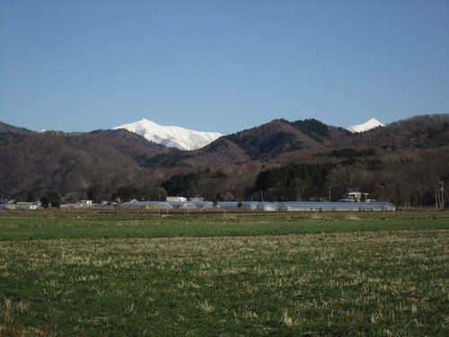 田代からの冬の十勝岳.jpg