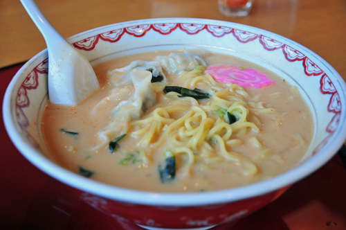 登山口シカ柵_鼓動ラーメン.jpg