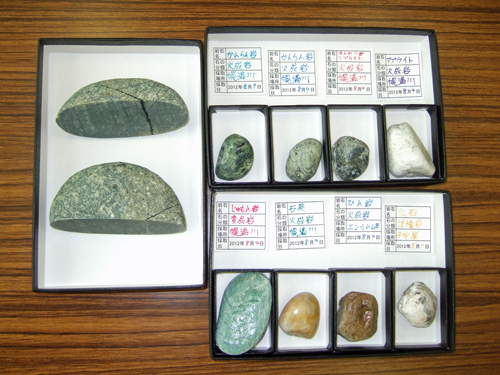 石探し_コミセン_標本箱.jpg