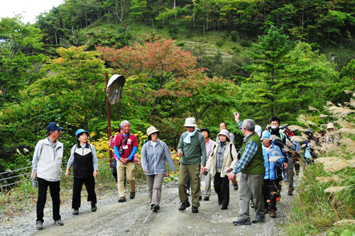 紅葉ツアー_林道散策.jpg
