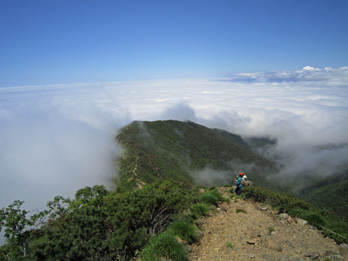 8合目からの雲海.jpg