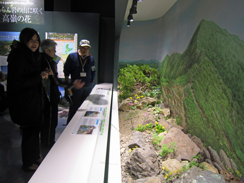 ビジターオープン_高山植物.jpg