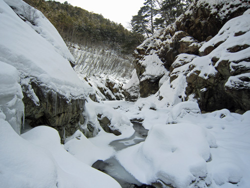 冬の幌満峡_不動上流1.jpg