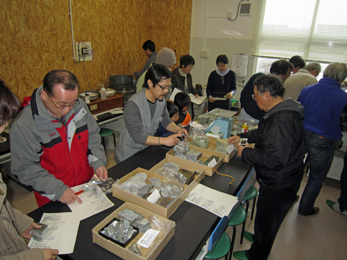 実験塾_標本づくり3.jpg