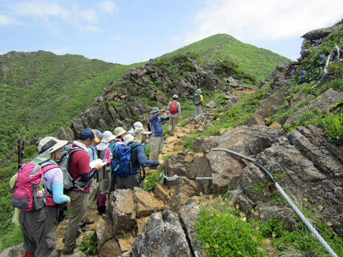 山遊会_8合目手前.jpg