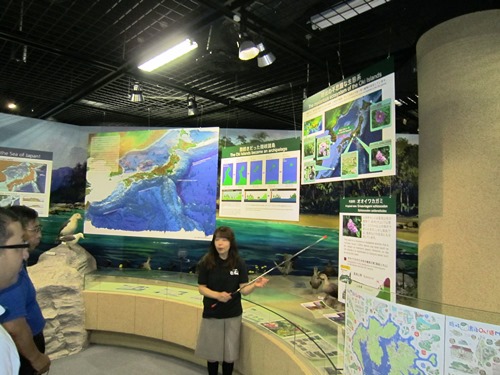 隠岐_自然館.jpg