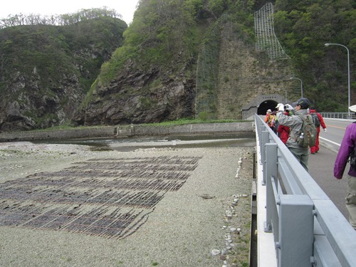 http://www.apoi-geopark.jp/blog/img/2015/%E5%B1%B1%E9%81%93_%E6%98%86%E5%B8%83%E5%B9%B2%E3%81%97.jpg