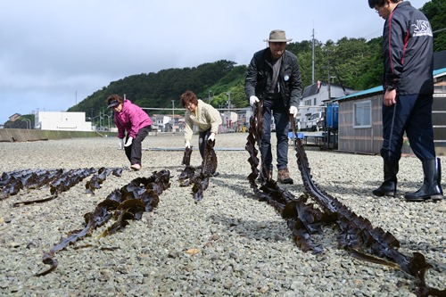 http://www.apoi-geopark.jp/blog/img/2015/GGN_%E6%98%86%E5%B8%83%E5%B9%B2%E3%81%97.jpg
