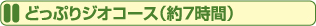 どっぷりジオコース（約７時間）