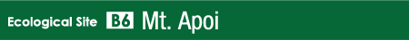 Mt. Apoi