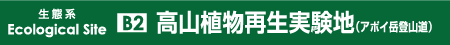 高山植物再生実験地