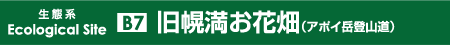 幌満お花畑