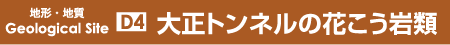 大正トンネルの花こう岩類