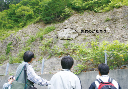 レンズ状の砂岩