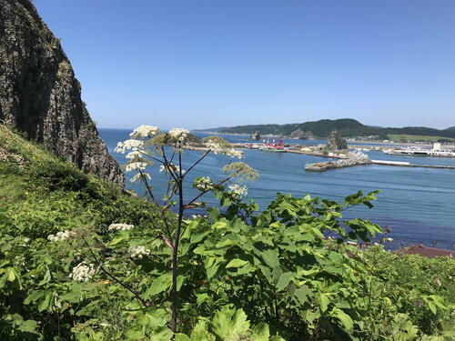 https://www.apoi-geopark.jp/blog/2025/IMG_6995.jpg