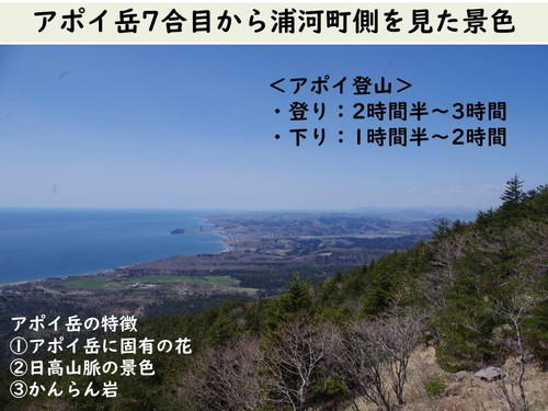 https://www.apoi-geopark.jp/blog/56b12149e0498d2b78a611a659006463f203e6d6.jpg