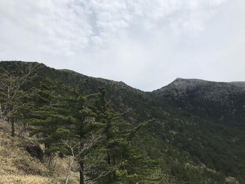 https://www.apoi-geopark.jp/blog/IMG_6504.jpg