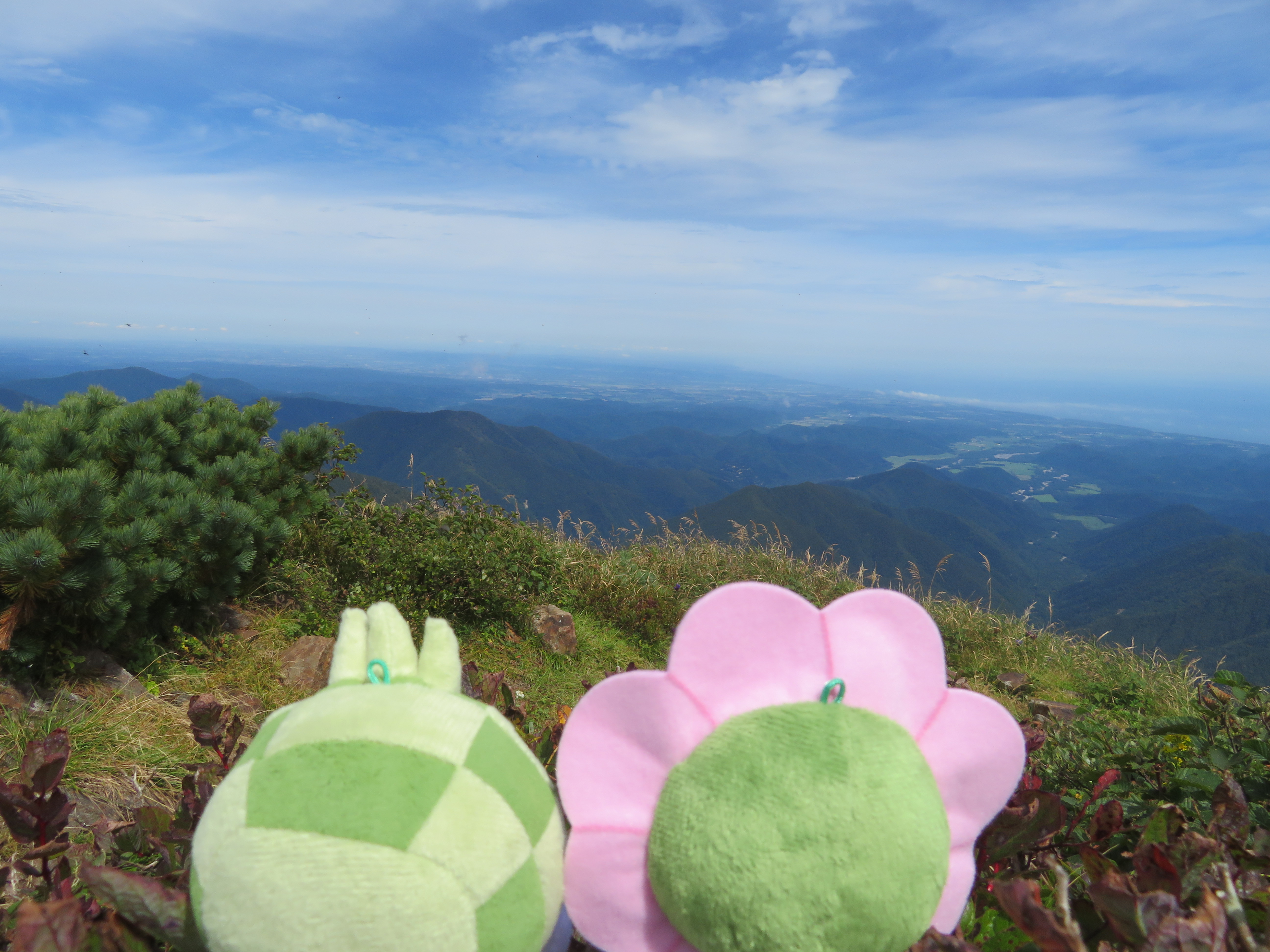 https://www.apoi-geopark.jp/blog/IMG_6637.JPG