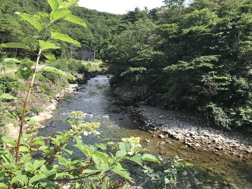 https://www.apoi-geopark.jp/blog/IMG_7372.jpg