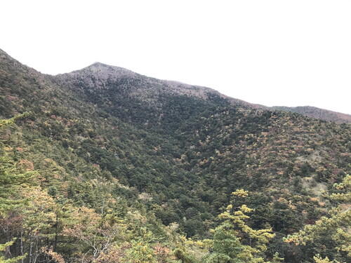 https://www.apoi-geopark.jp/blog/IMG_8422.jpg