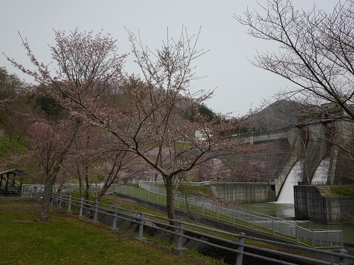 190506_様似ダム2.JPG