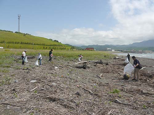 ビーチコーミング2019①
