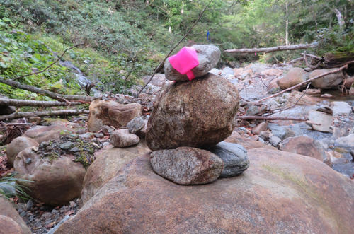 IMG_6848 切り抜き.jpg