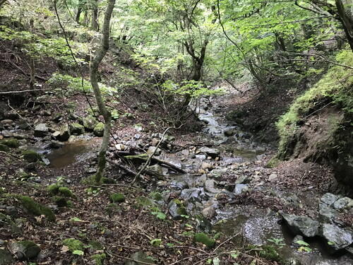 IMG_7736オイオイの沢　分岐.jpg