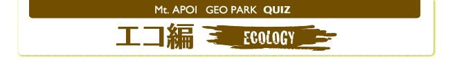 エコ編
