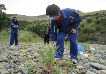 River beach near the quarry