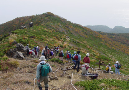 The previous horoman flower fields