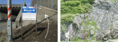 Metagabbro at the Kotoni Tunnel