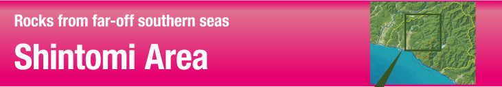 Shintomi Area