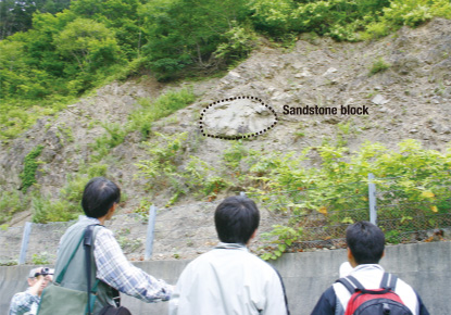Lenticular sandstone at the Samani Dam
