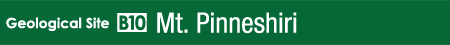 Pinneshiri