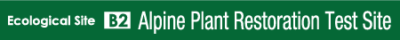 Alpine Plant Regeneration Test Site
