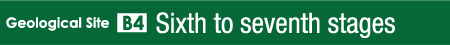 Sixth to seventh stages