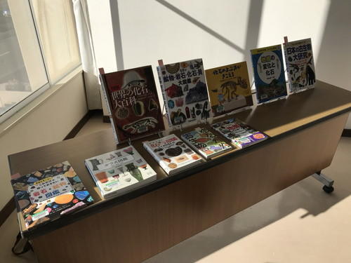 2024年11月23日 02.jpg