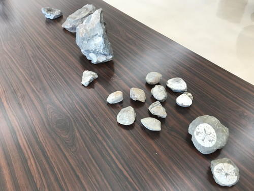 2024年11月23日 01.jpg