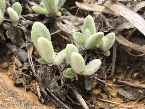 2025年05月14日 14.jpg