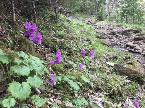 2025年05月14日 01.jpg