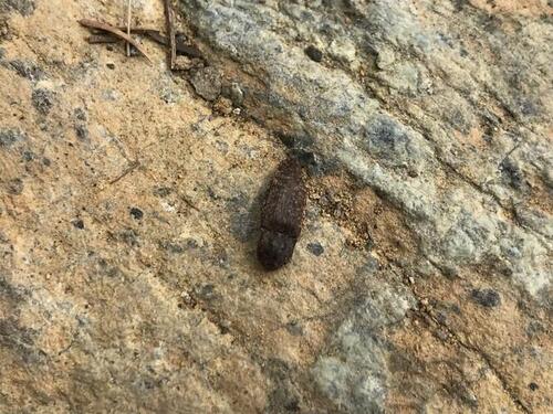 2025年05月14日 11.jpg