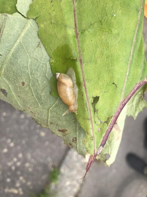 2025年06月28日 03.jpg