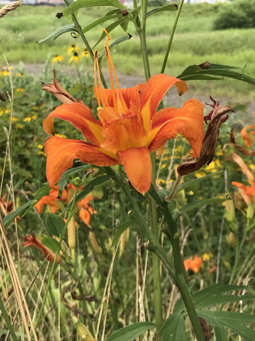 2025年08月03日 07.jpg