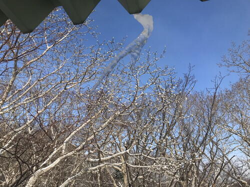 2026年01月23日 12.jpg