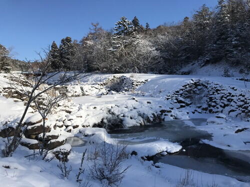 2026年01月18日 03.jpg