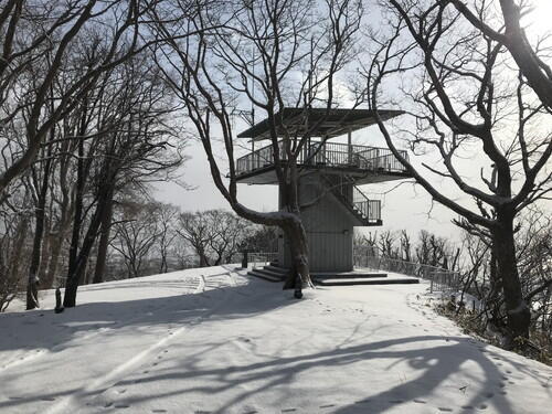 2026年01月23日 07.jpg