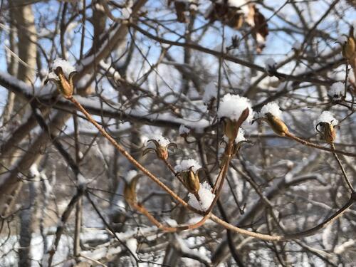 2026年01月23日 13.jpeg